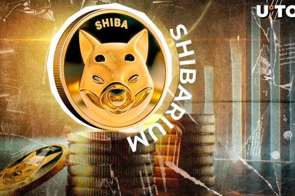 Shiba Inu