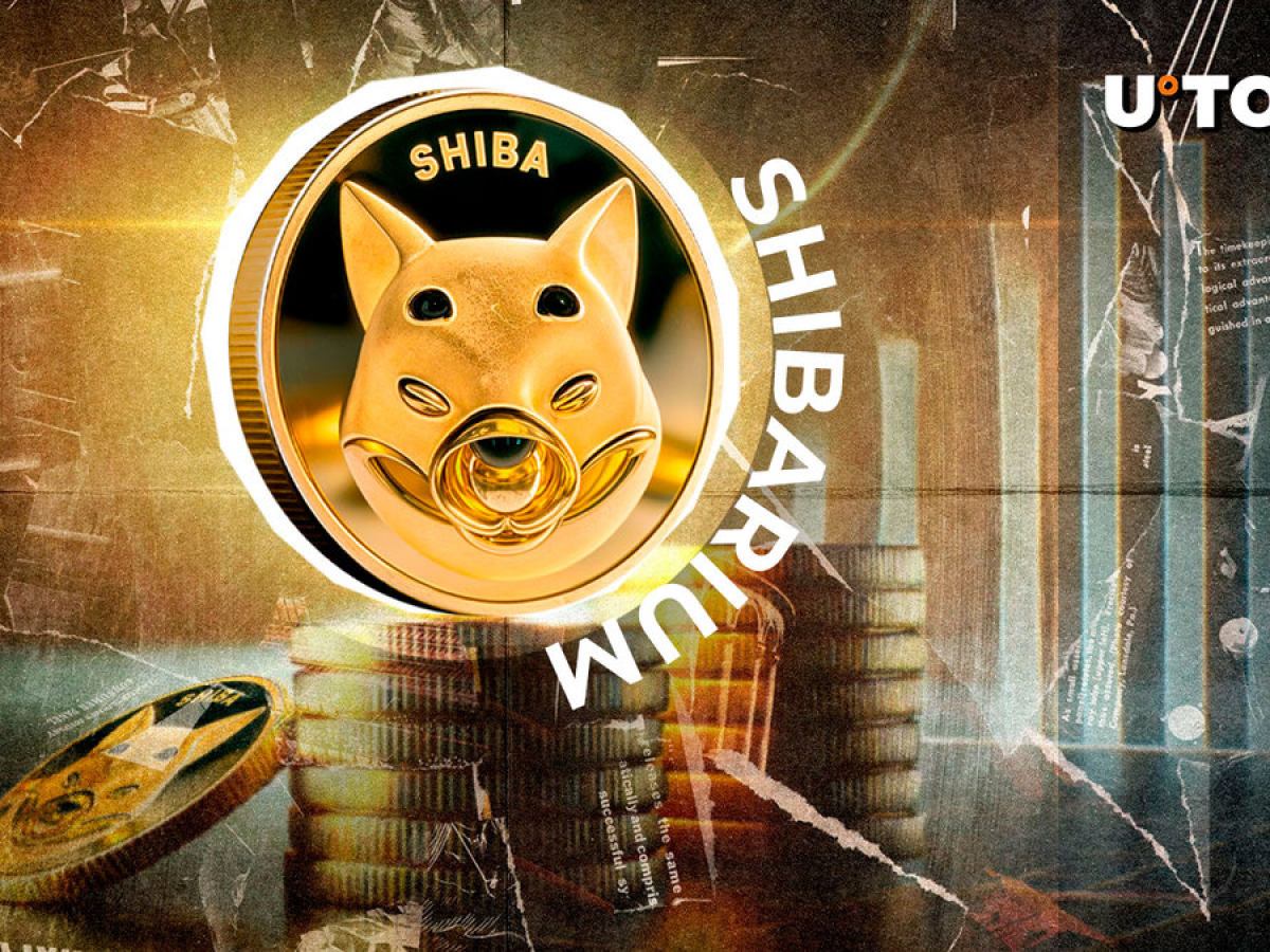 Shiba Inu